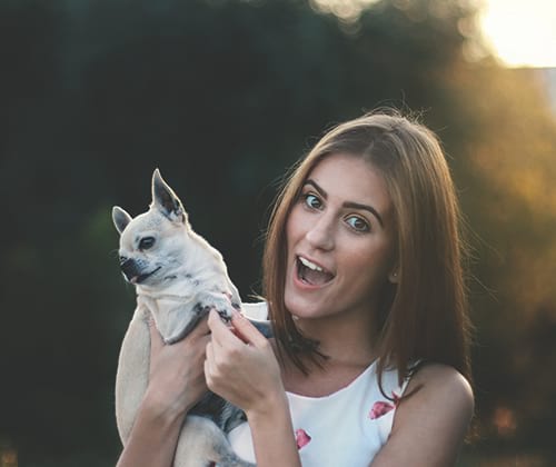 Fonctionnement de l'assurance pour chien Santévet