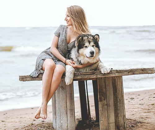 Une mutuelle santé pour chien performante